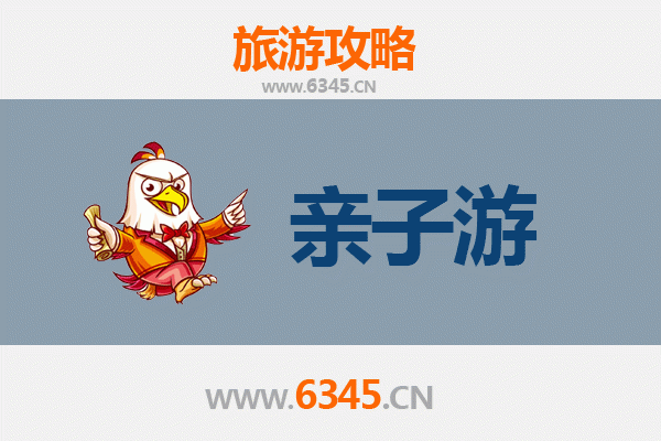 伊春带岭亲子游攻略：探秘小兴安岭的自然课堂与家庭乐趣