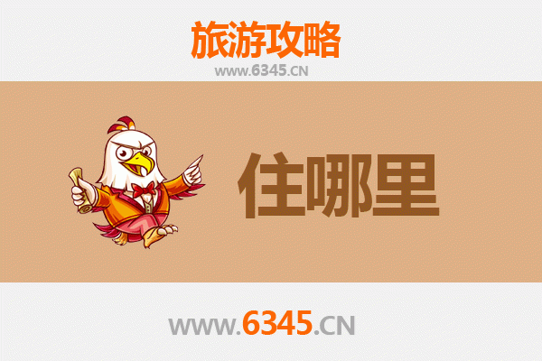 伊春带岭旅游民宿全攻略：森林秘境中的诗意栖居